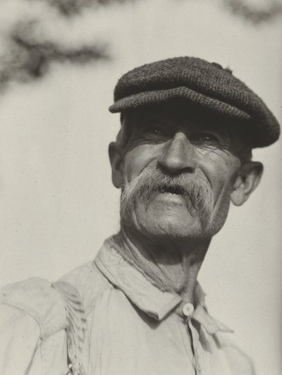 Bly by Alfred Stieglitz