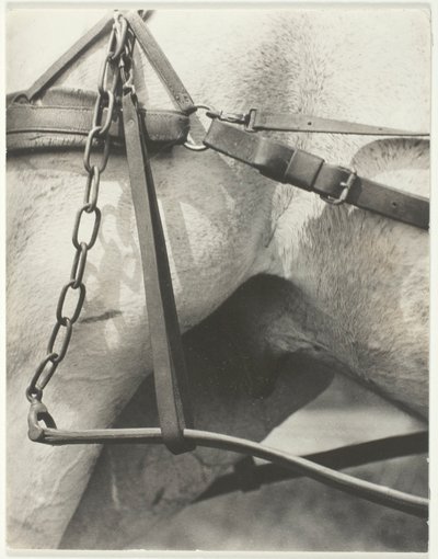 Equivalent, Spiritual America by Alfred Stieglitz
