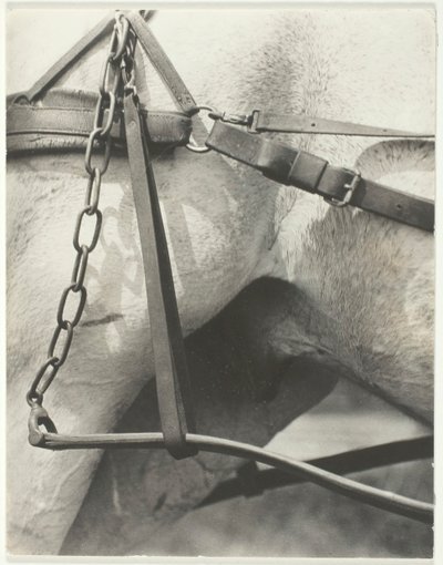 Equivalent, Spiritual America by Alfred Stieglitz