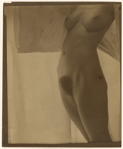 Torso by Alfred Stieglitz