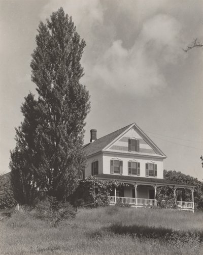 House on the Hill, Lake George by Alfred Stieglitz