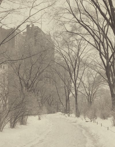 In the Park by Alfred Stieglitz