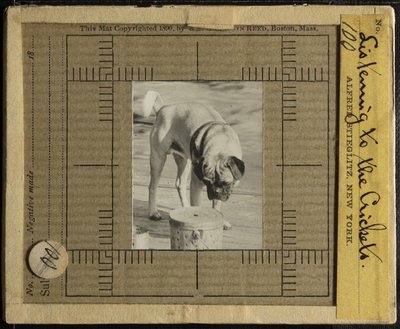 Listening to the Crickets by Alfred Stieglitz