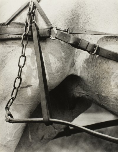 Spiritual America: Songs of the Sky A1 by Alfred Stieglitz