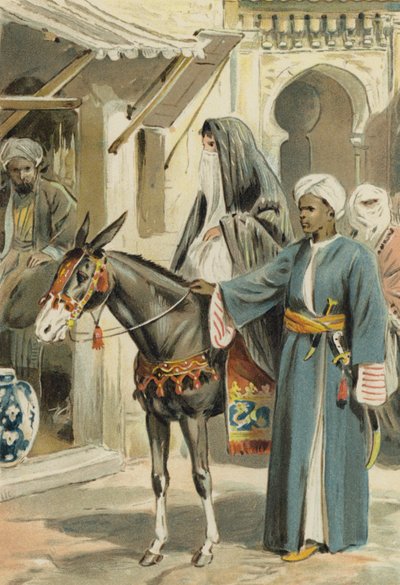 Arabian Nights: The History Of Aboulhassan And Schemselnihar by Alfred W. Cooper