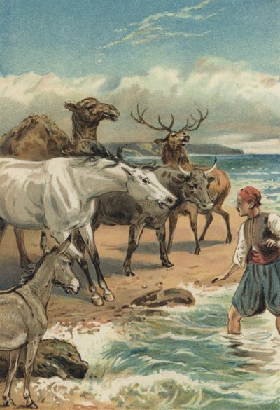 Arabian Nights: The History of Beder and Giauhare by Alfred W. Cooper