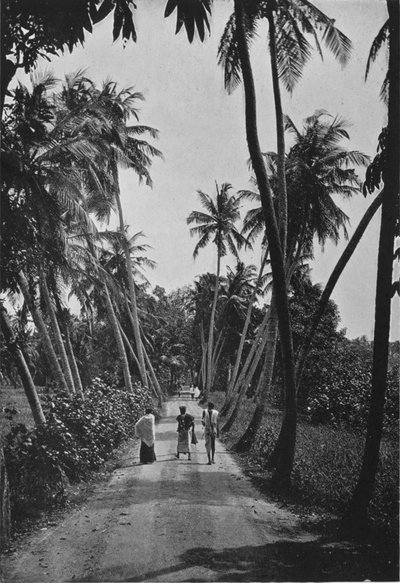A Path Through Paddy Fields by Alfred William Amandus Plate