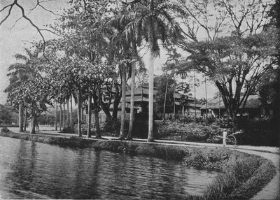 Kandy - A Picturesque Corner of the Lake, c. 1890 by Alfred William Amandus Plate