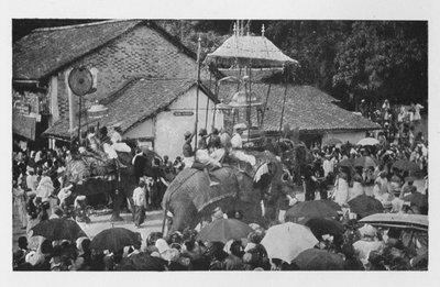 Kandy Perahera - A Procession of Elephants Carried Through by the Kandyan Chiefs by Alfred William Amandus Plate