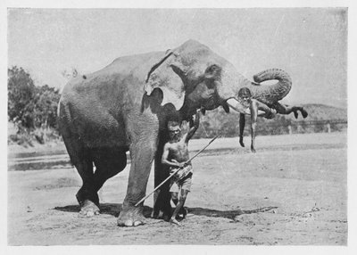 Maligawa Elephant and Mahouts by Alfred William Amandus Plate