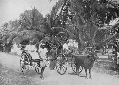 Rickshaw and Racing Hackery, c1890, 1910 by Alfred William Amandus Plate