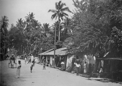 Roadside Scene on the Way to Mt. Lavinia by Alfred William Amandus Plate