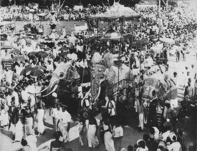 Sacred Elephant in the Perahera Procession, Kandy, Ceylon, c1890, 1910 by Alfred William Amandus Plate