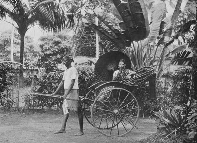 Tamil Lady in Rickshaw by Alfred William Amandus Plate