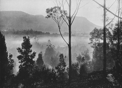 The Early Morning Mist Rising at Nuwara Eliya by Alfred William Amandus Plate