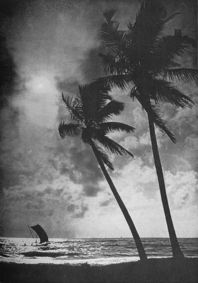 The Palm Fringed Shore at Sunset, c1890, 1910 by Alfred William Amandus Plate