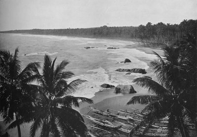 View from Mount Lavinia, Showing Cocoanut Palms along Seashore by Alfred William Amandus Plate