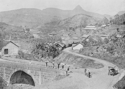 View of Maskeliya showing Adams Peak, c. 1890, 1910 by Alfred William Amandus Plate
