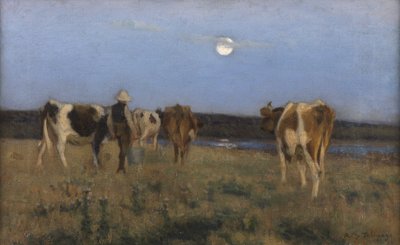 A Summer