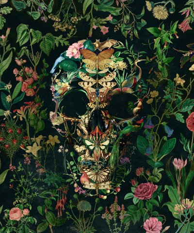 Dark Floral Skull by Ali Gulec