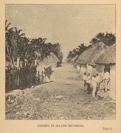 Street in Island Mugeres by Alice Dixon Le Plongeon