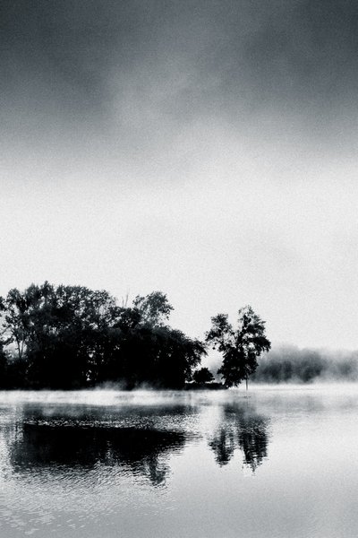 Boissy Morning, 2017 by Alice Gur-Arie