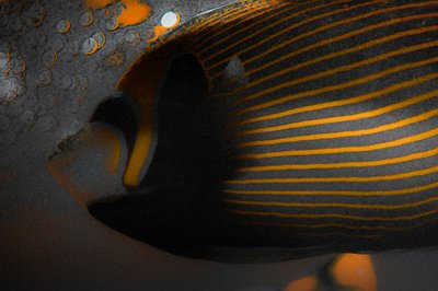 Bubbles and Stripes, 2018 by Alice Gur-Arie
