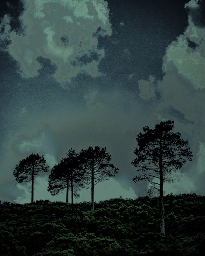 Last Light, 2018 by Alice Gur-Arie