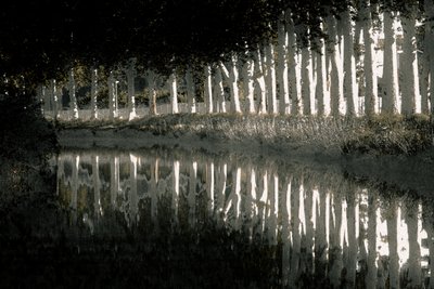 Rendering, 2018 by Alice Gur-Arie