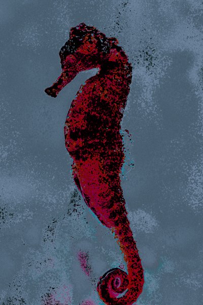 Seahorse, 2018 by Alice Gur-Arie