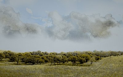 Sicilian Afternoon, 2018 by Alice Gur-Arie