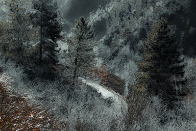The Road from Milan, 2018 by Alice Gur-Arie