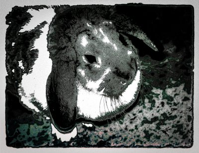Rabbit Habbits, 2022 by Alice Gur-Arie