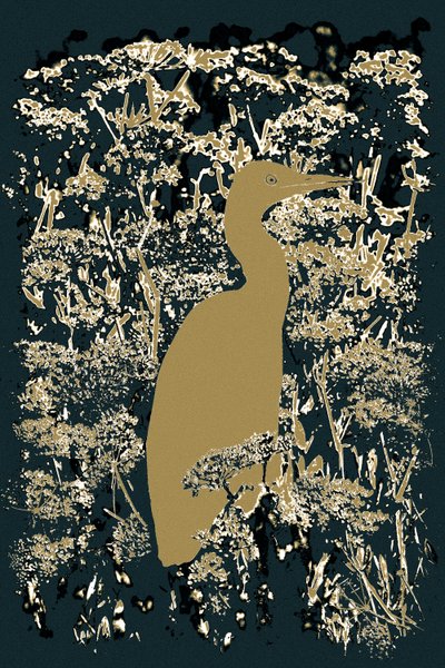 Royal Egret, 2015 by Alice Gur-Arie