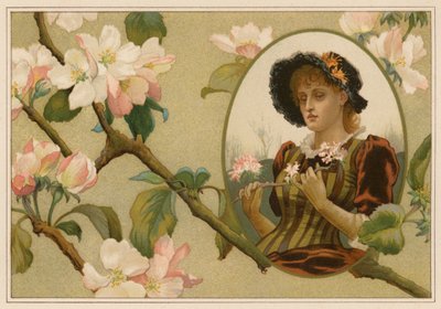 The Conceited Apple-Branch by Alice Havers