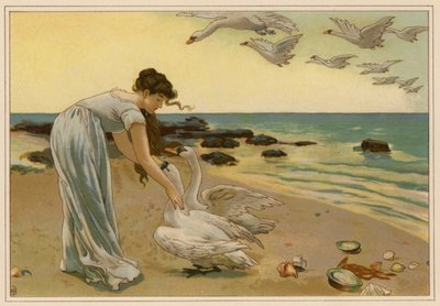 The White Swans by Alice Havers