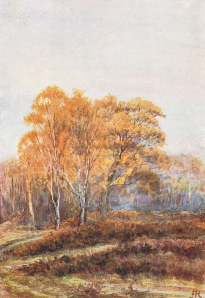 New Forest: The Birches at Faircrop, Early November by Alice Julia Argles