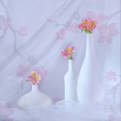 Elegant Pink Blooms by Alice Sheng
