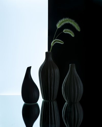 Elegant Vases with Grass by Alice Sheng