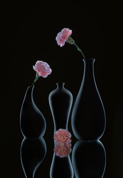 Sleek Floral Still Life by Alice Sheng