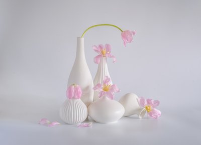 Soft Pink Tulip Still Life by Alice Sheng