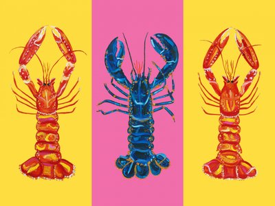 Lobster Langoustines Pop Art 2 by Alice Straker