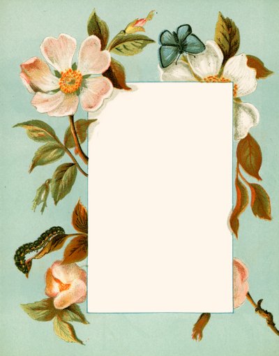 June by Alicia Amy Leith