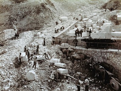 Railway station with laborers loading marble blocks onto railway wagons, three pairs of oxen with transport wagons are visible by Fratelli Alinari