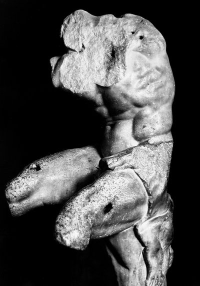 The Belvedere Torso by Apollonios of Nestor, c.1890 by Fratelli Alinari