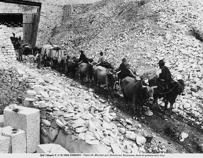 Wagon setting off for the quarries at Ravaccione, near Carrara by Fratelli Alinari