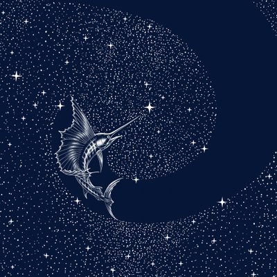 Celestial Sailfish by Alirıza ÇAKIR