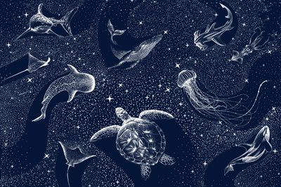 Cosmic Ocean Animals by Alirıza ÇAKIR