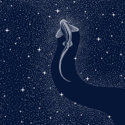 Cosmic Shark by Alirıza ÇAKIR