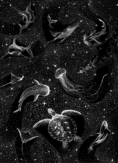 Ocean Animals Under Stars by Alirıza ÇAKIR